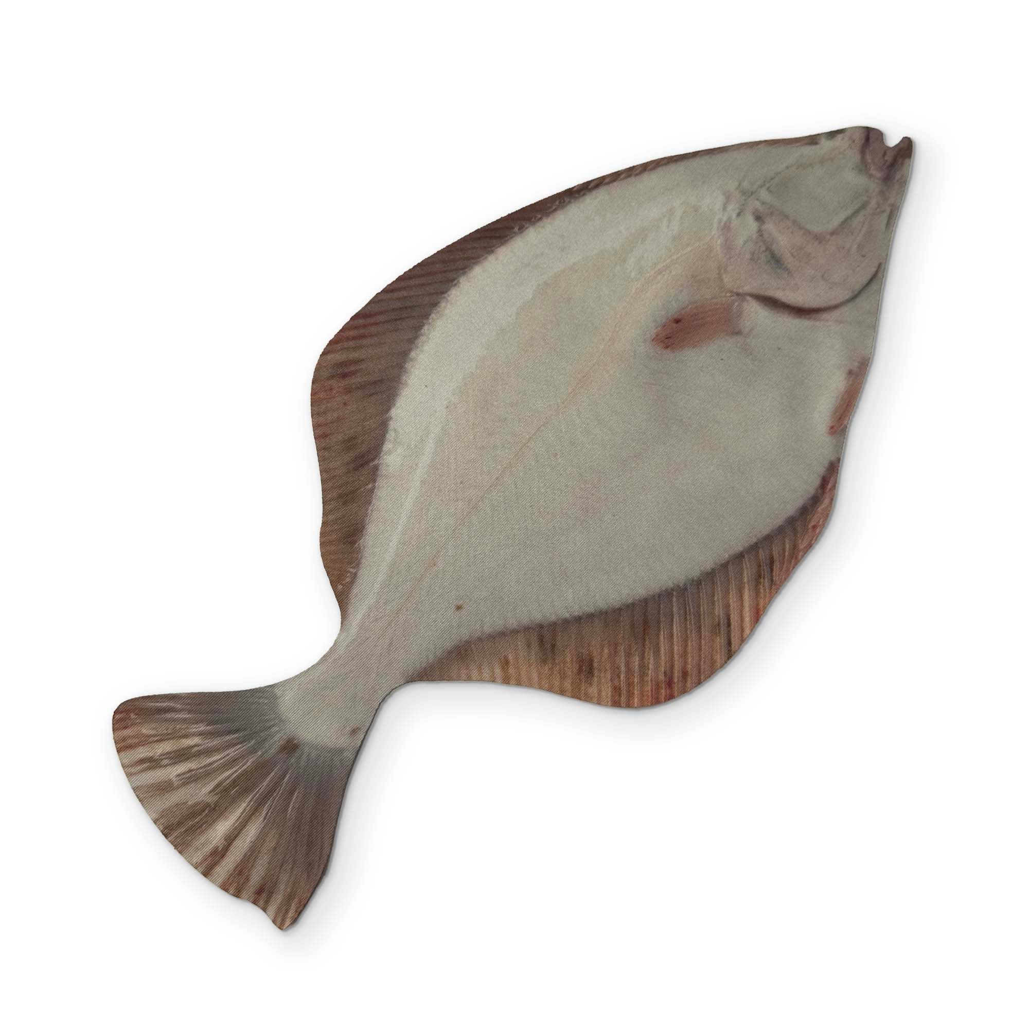 A FLOUNDER YOU CAN CLEAN YOUR GLASSES WITH - Image 2