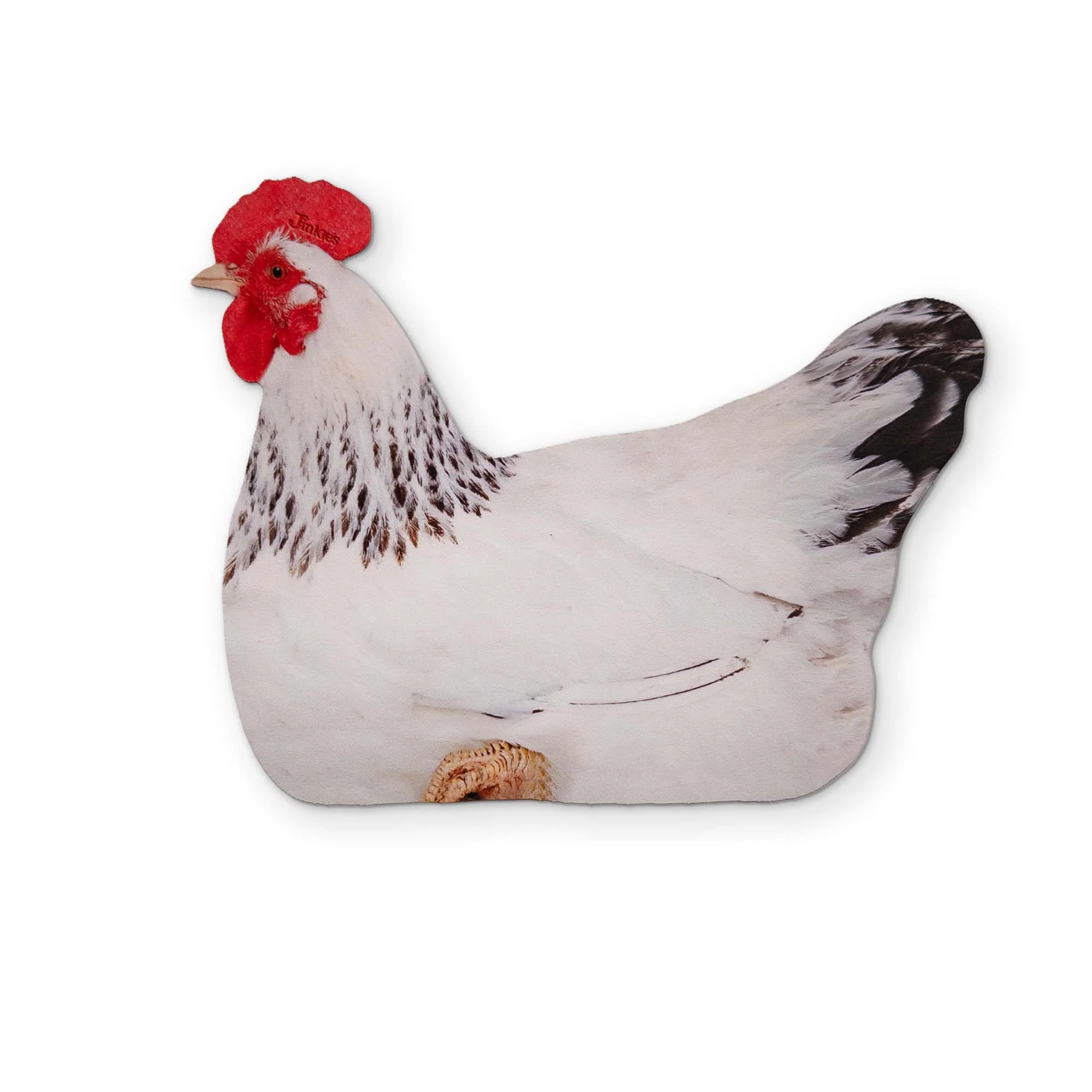 A CHICKEN YOU CAN CLEAN YOUR GLASSES WITH - Image 2