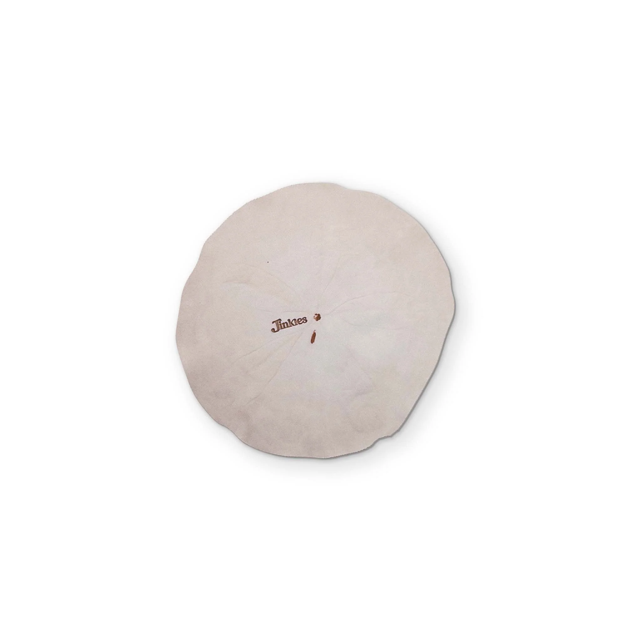A SAND DOLLAR YOU CAN CLEAN YOUR GLASSES WITH - Image 2
