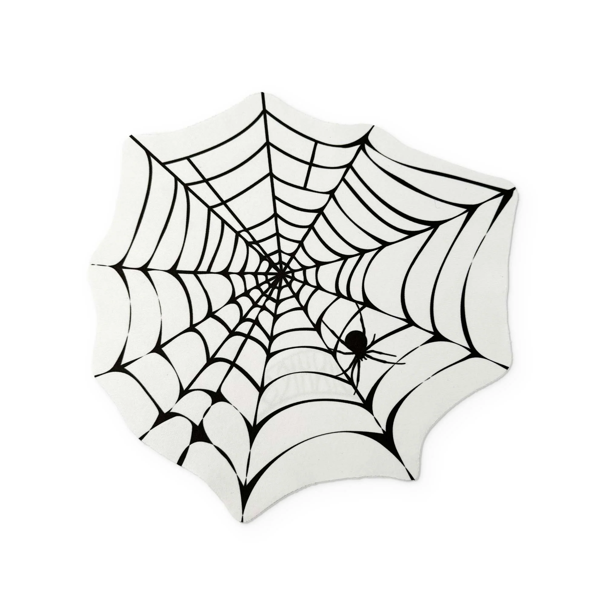 A SPIDER WEB YOU CAN CLEAN YOUR GLASSES WITH