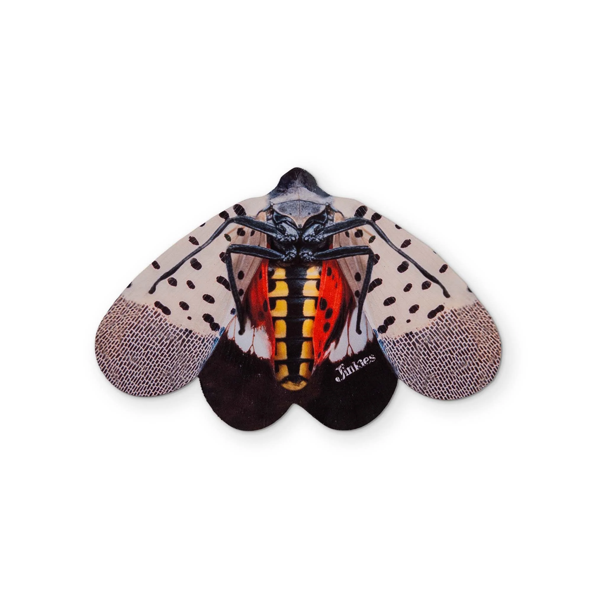 A SPOTTED LANTERNFLY YOU CAN CLEAN YOUR GLASSES WITH - Image 2