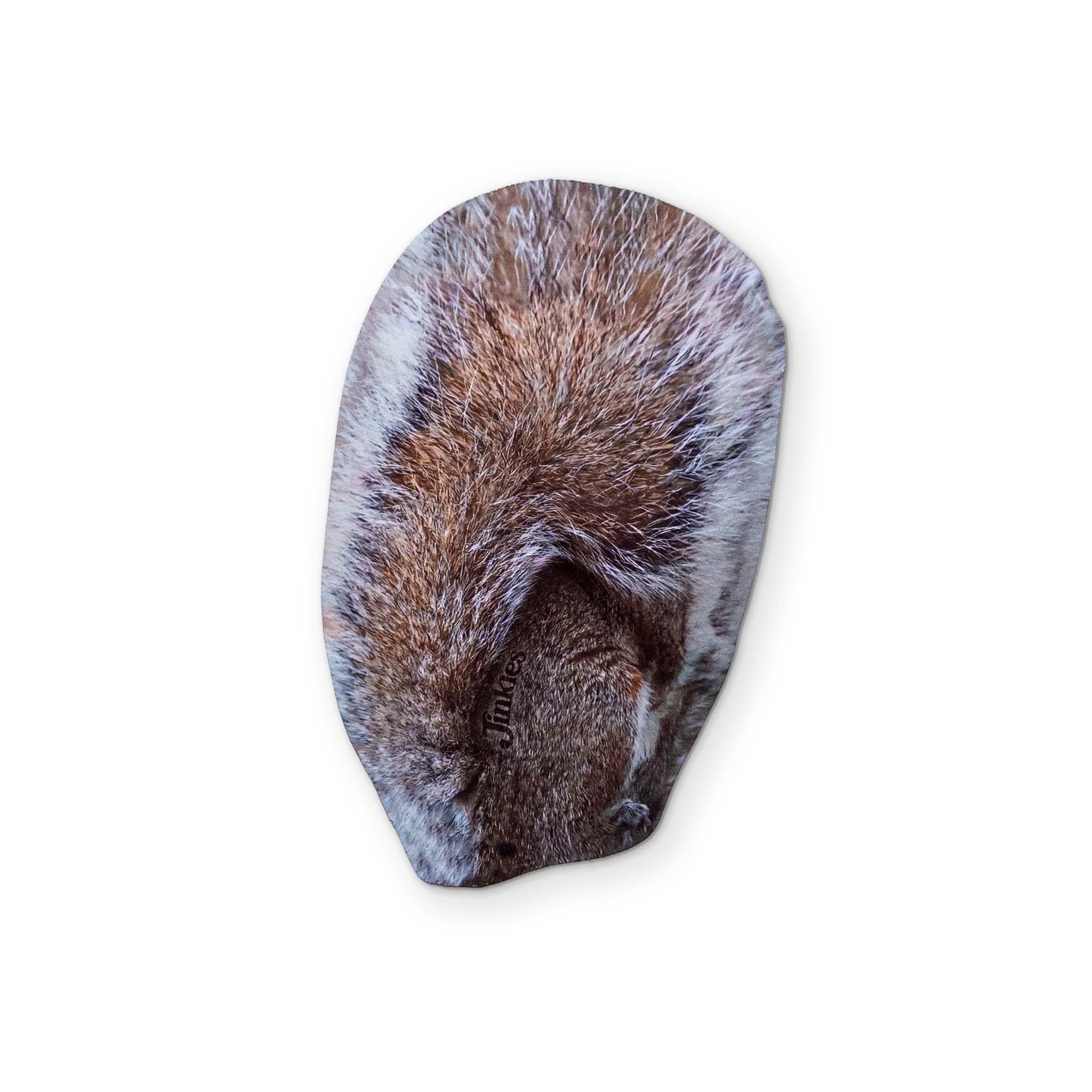 A SQUIRREL YOU CAN CLEAN YOUR GLASSES WITH - Image 2