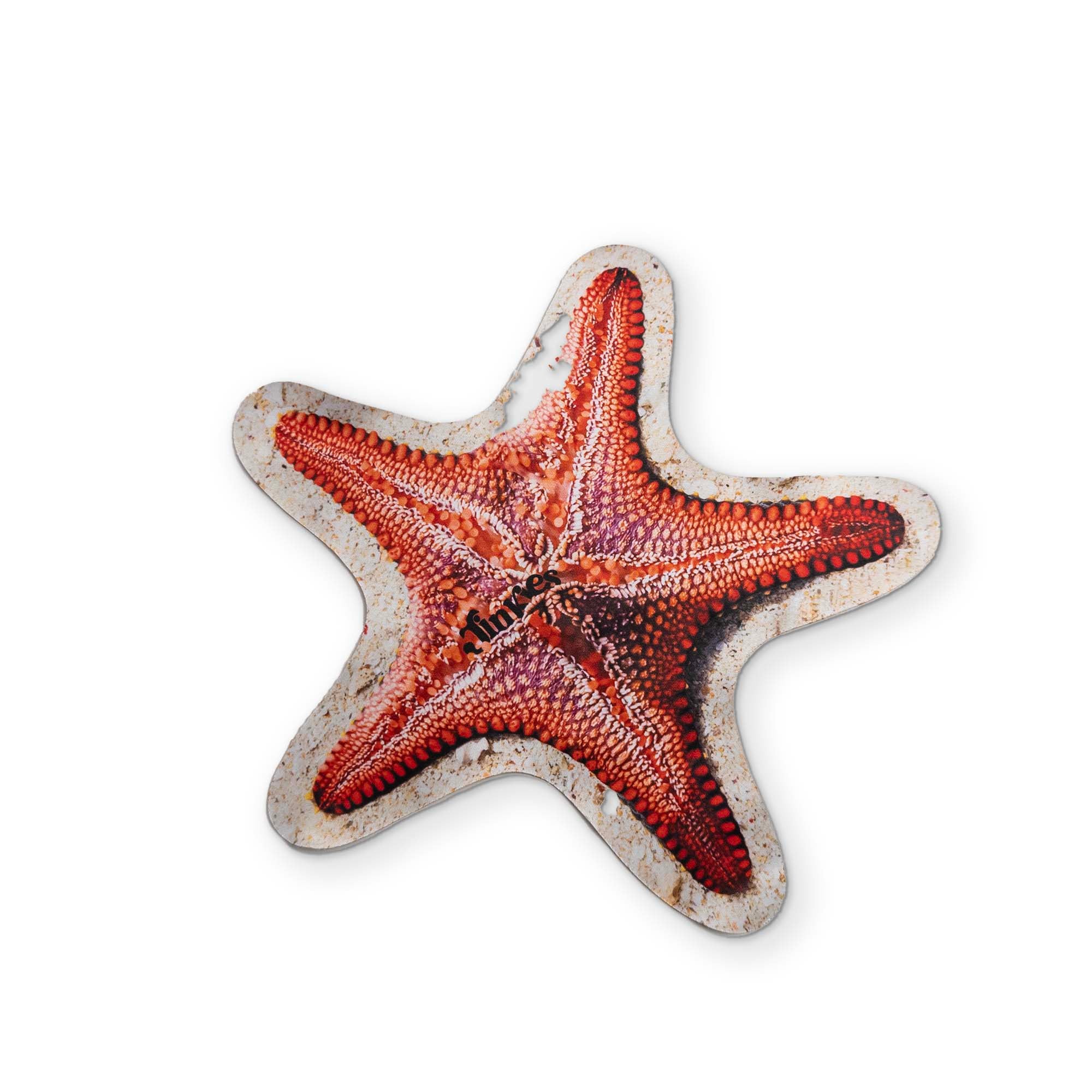 A STARFISH YOU CAN CLEAN YOUR GLASSES WITH - Image 2