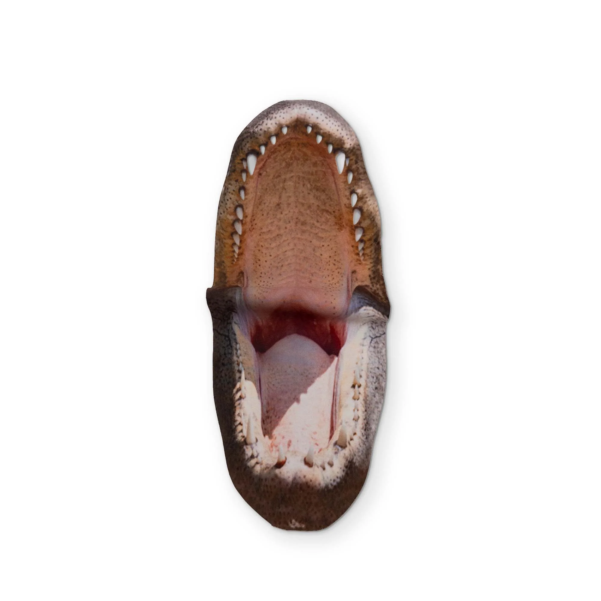 AN ALLIGATOR YOU CAN CLEAN YOUR GLASSES WITH - Image 2