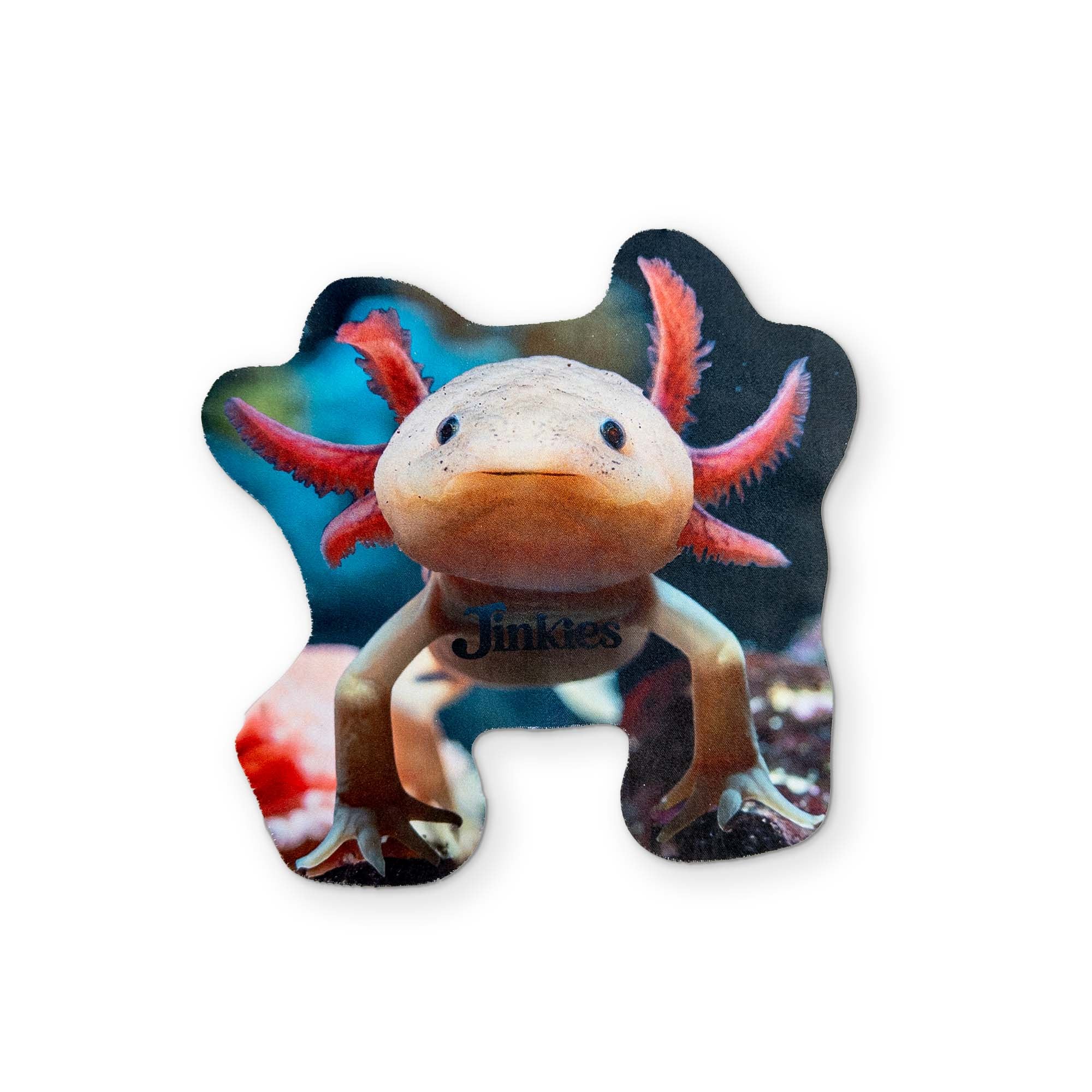 AN AXOLOTL YOU CAN CLEAN YOUR GLASSES WITH - Image 2