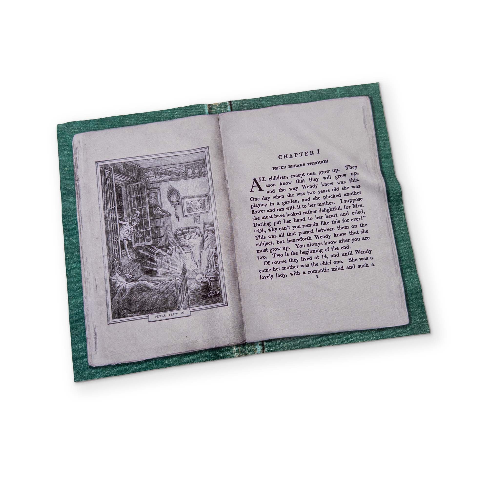 PETER PAN - A BOOK YOU CAN CLEAN YOUR GLASSES WITH - Image 2