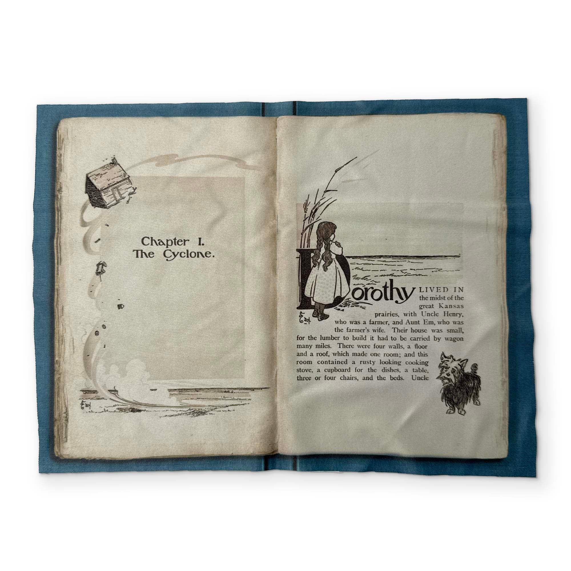 THE WIZARD OF OZ - A BOOK YOU CAN CLEAN YOUR GLASSES WITH - Image 2